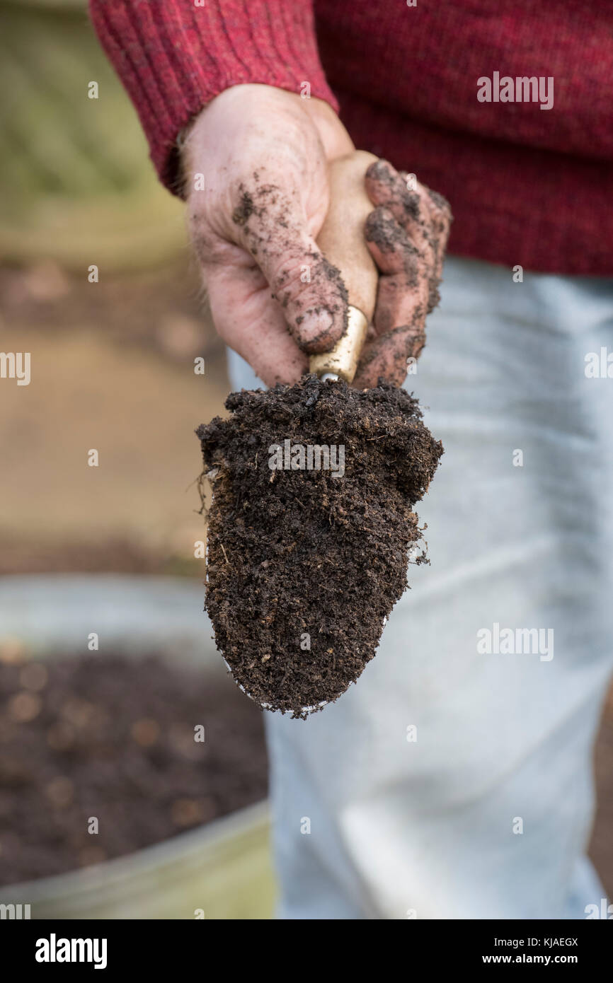 I giardinieri di mano che tiene una mano cazzuola. Regno Unito Foto Stock