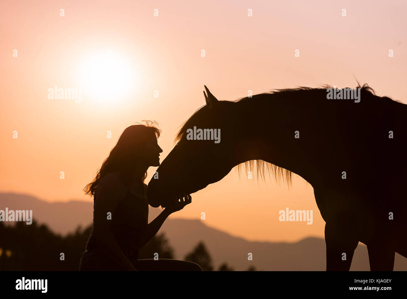 Cavallo Spagnolo andaluso. Donna con dun stallone stagliano contro il sole di setting. Svizzera Foto Stock
