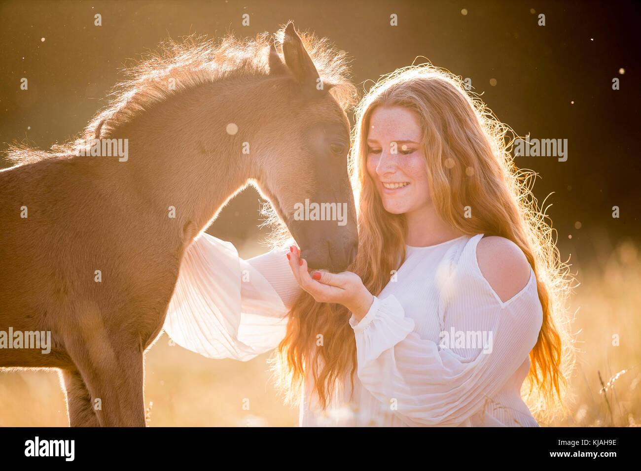 Il tedesco cavalcare pony. Ragazza con smooching bay colt nella luce della sera. Germania Foto Stock