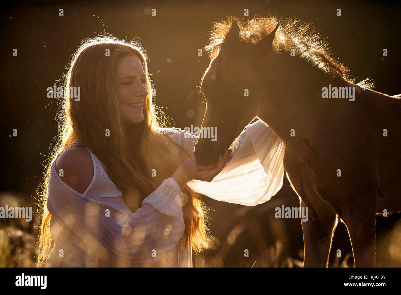 Il tedesco cavalcare pony. Ragazza con smooching bay colt nella luce della sera. Germania Foto Stock