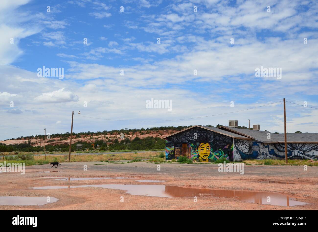 Una coperta di graffiti e un palazzo tre zampe cane nero nella riserva navajo arizona vicino a pagina Foto Stock