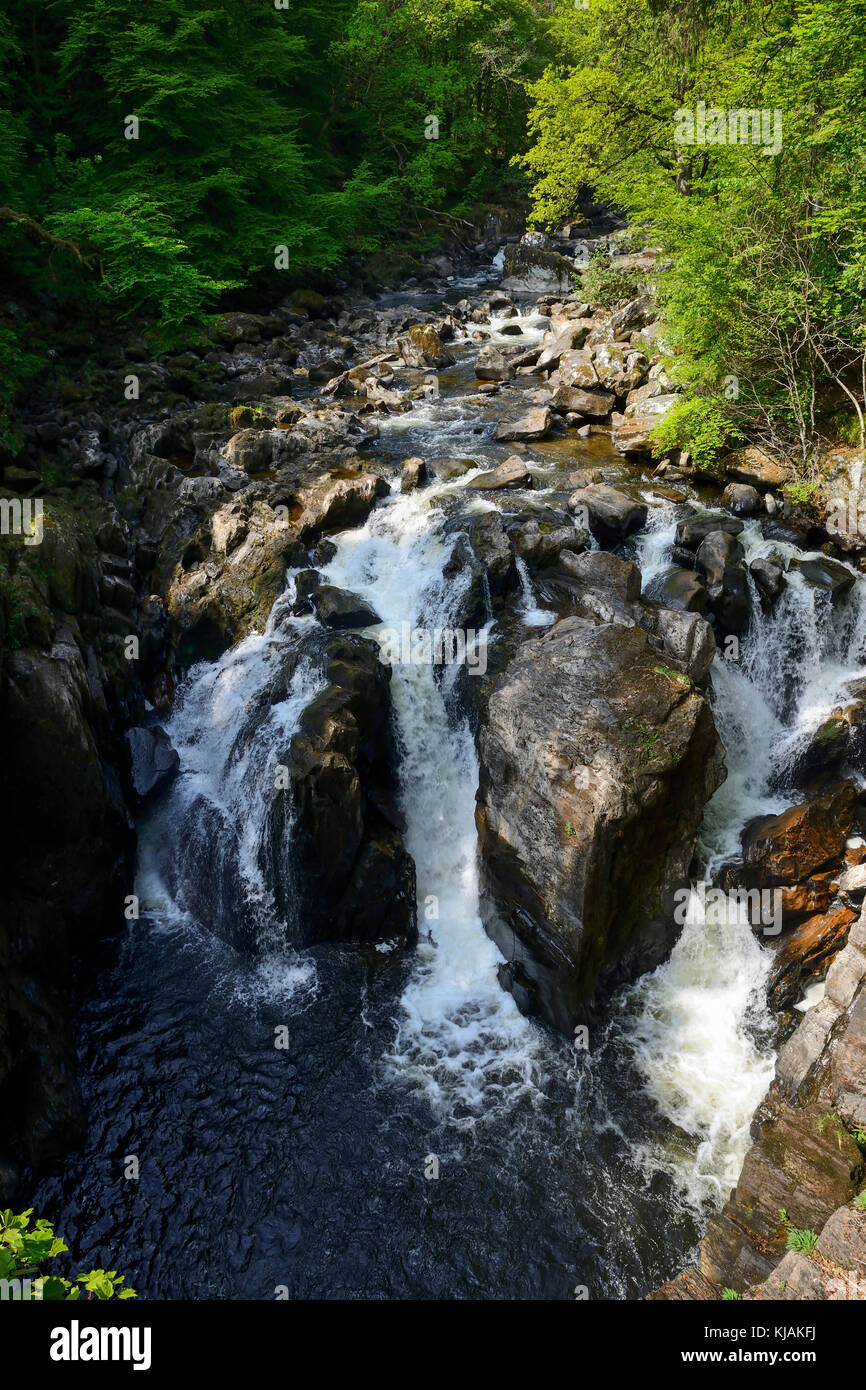 Nero linn cascata sul fiume braan presso l'eremo vicino a Dunkeld in Perthshire Scozia Scotland Foto Stock