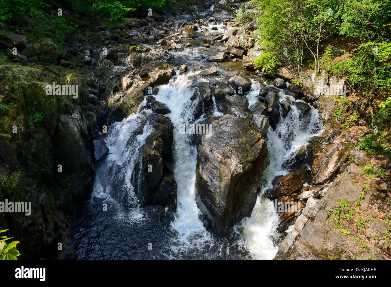 Nero linn cascata sul fiume braan presso l'eremo vicino a Dunkeld in Perthshire Scozia Scotland Foto Stock