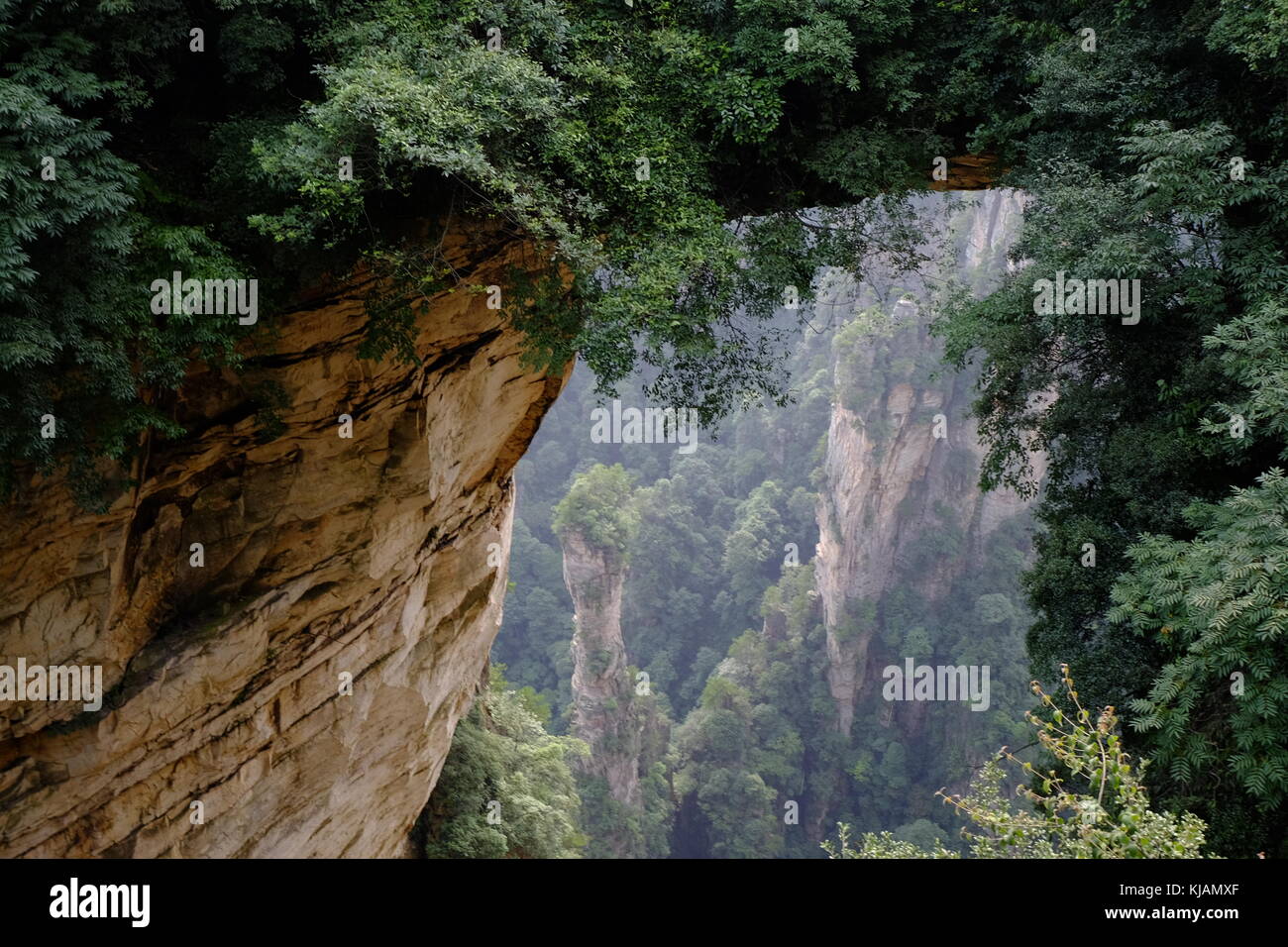 Arco calcareo su pilastri di zhangjiajie National Forest park in Cina Foto Stock