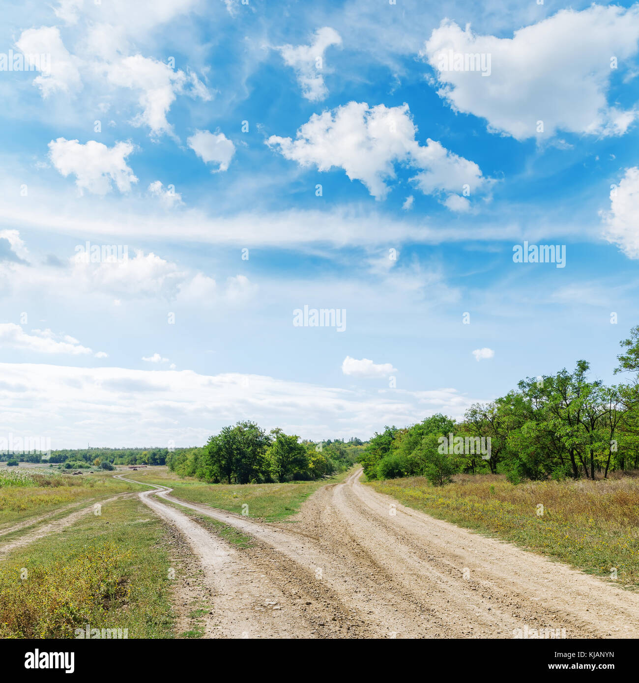 Due strade nel verde paesaggio sotto il cielo blu con nuvole Foto Stock