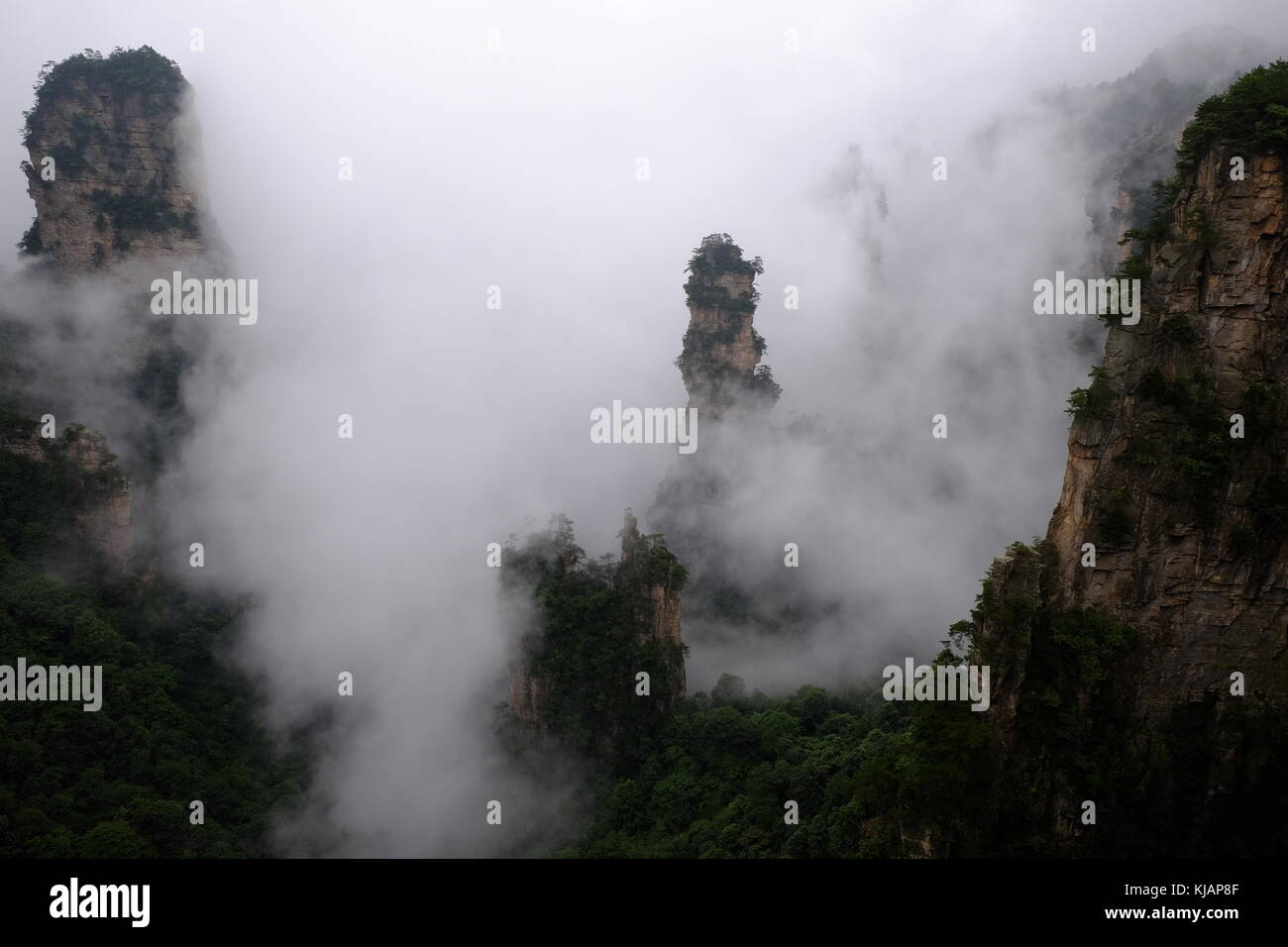 Nuvole di vorticazione sulle cime di zhangjiajie National Forest park a wulingyuan scenic sito nella provincia del Hunan in Cina Foto Stock