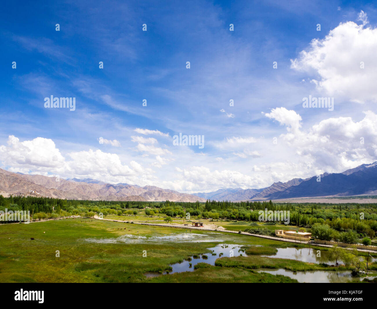 Paesaggio - Ladakh India Foto Stock
