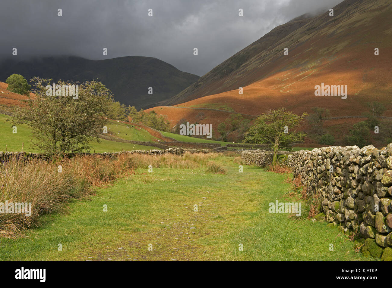 Testa wasdale, Lake District, cumbria. Inghilterra. Regno Unito Foto Stock