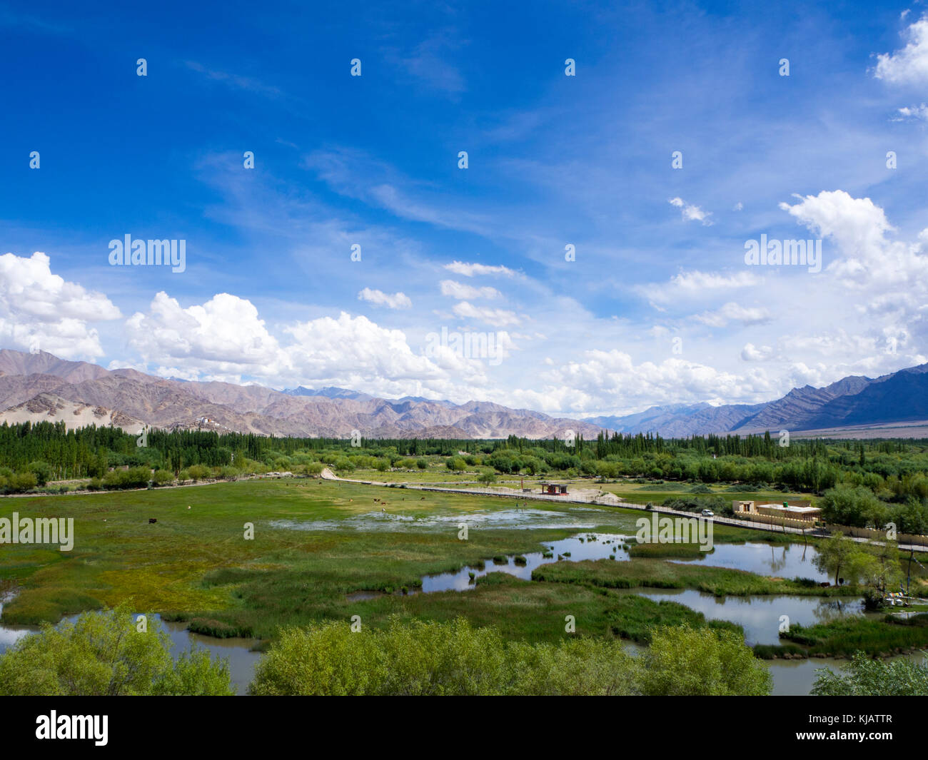 Paesaggio in Ladakh India Foto Stock