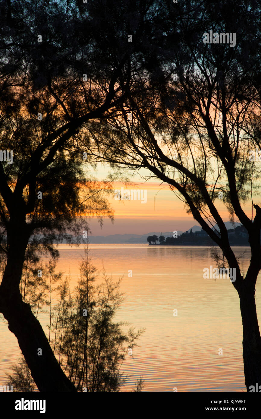 Visto tra il Tamarisk (Tamarix) alberi e i colori vivaci del cielo mattutino si riflettono nel mare calmo, momenti prima del sorgere del sole. Foto Stock