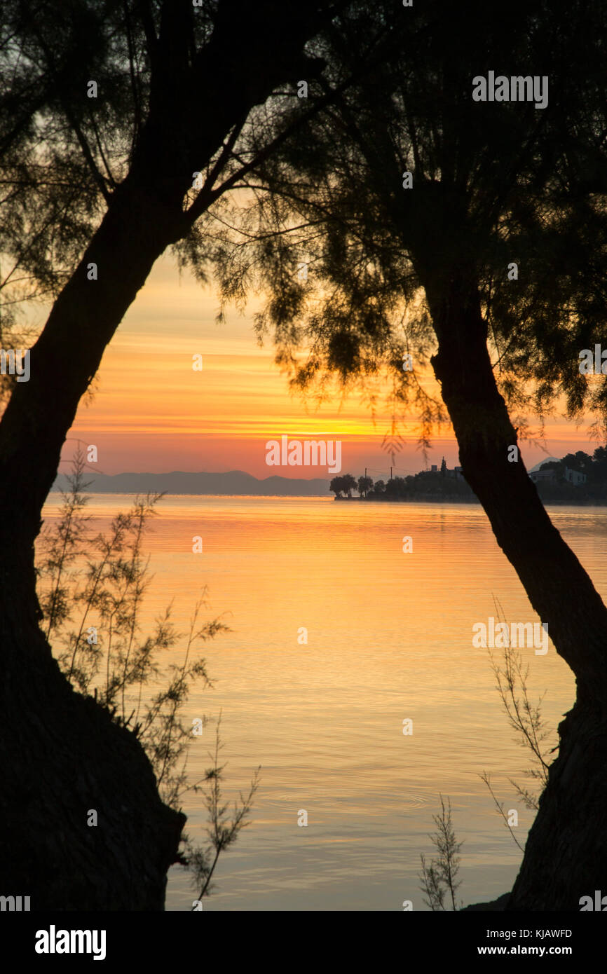 Visto tra il Tamarisk (Tamarix) alberi e i colori vivaci del cielo mattutino si riflettono nel mare calmo, momenti prima del sorgere del sole. Foto Stock