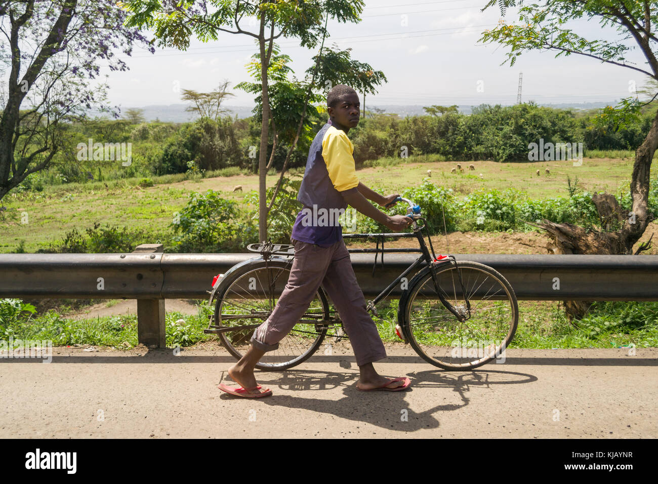 Un giovane africano a piedi con una bicicletta da strada, Kenya, Africa orientale Foto Stock