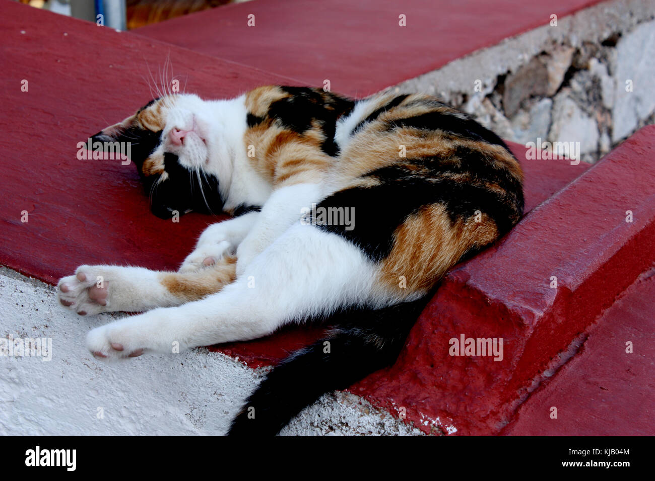 Gatti rilassante in Ermoupolis, SIROS, CICLADI Foto Stock