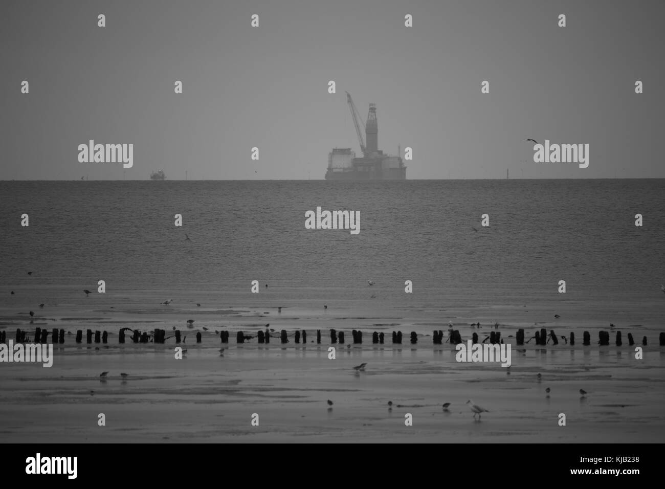 La piattaforma petrolifera 'Mittelplate' nel mare del nord Foto Stock