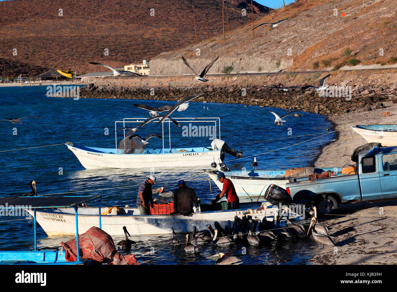 Barche da pesca Foto Stock