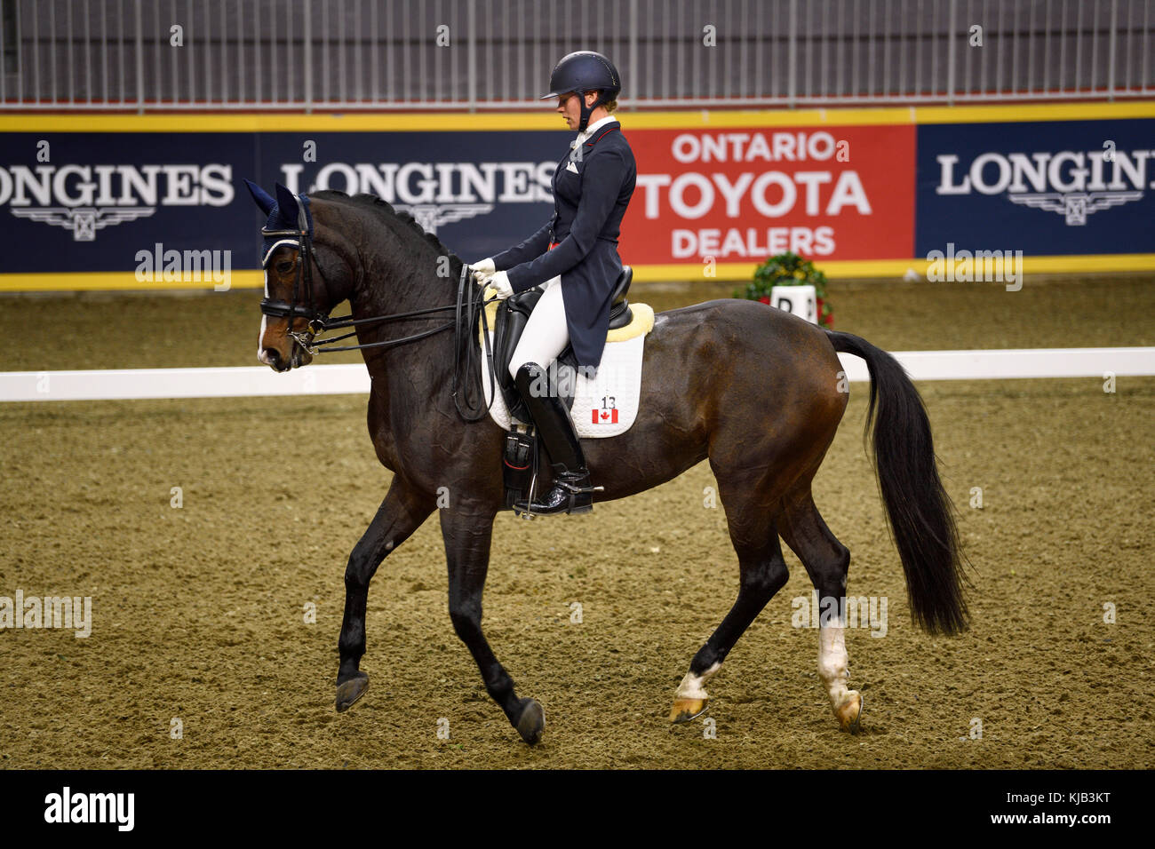 Megan Lane cavalcando la Caravella alla Royal International Dressage Cup al Ricoh Coliseum Royal Horse Show Exhibition Place Toronto Foto Stock