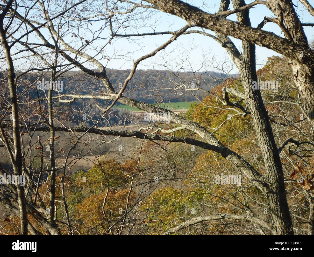 La Gfp minnesota Beaver Creek Valley forest Foto Stock