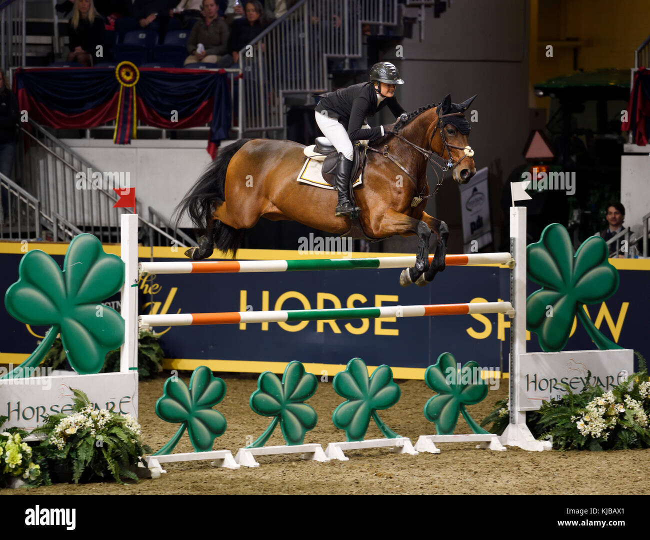 Erynn Ballard Canada in sella a Thalis Z nella gara Longines FEI World Cup Show Jumping al Royal Horse Show di Toronto Foto Stock
