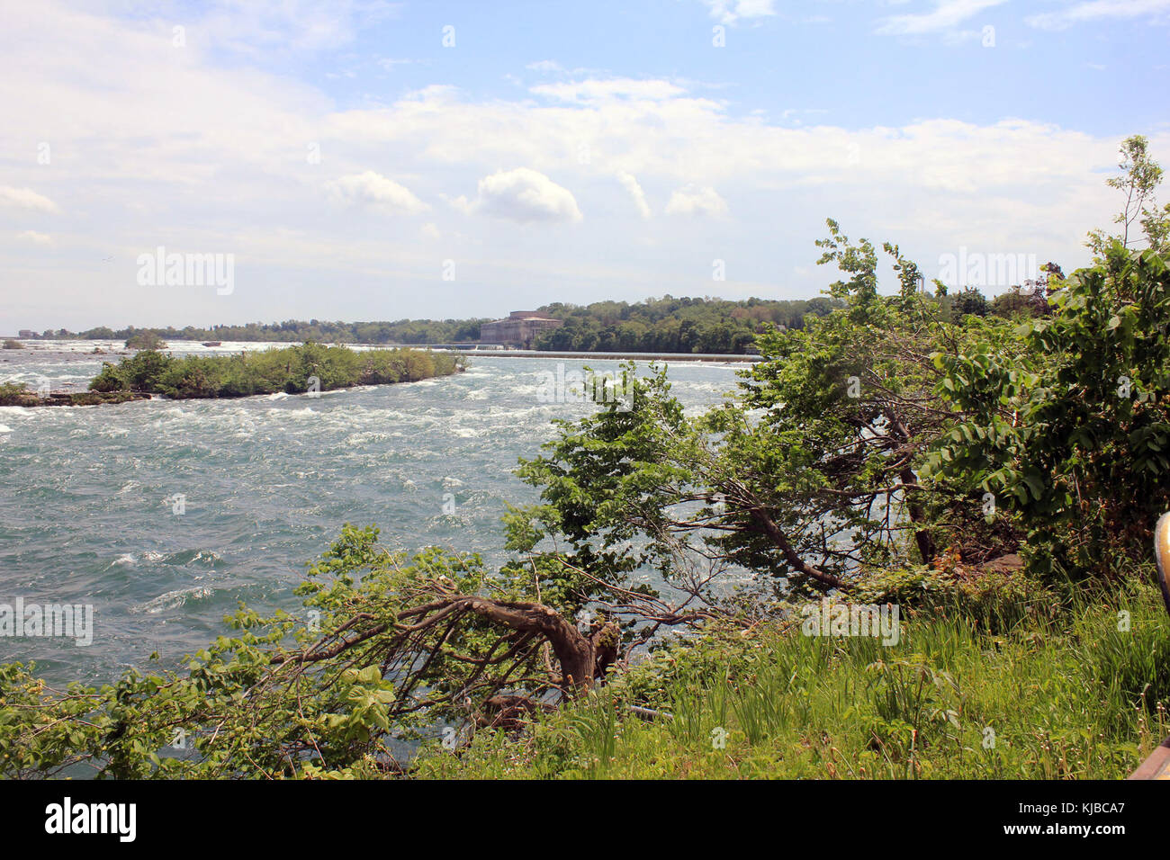 Questa immagine cattura la vista delle Cascate del Niagara da monte in Ontario, Canada. Le cascate, uno dei monumenti naturali più iconici al mondo, sono raffigurate nella loro forma maestosa come cascate d'acqua sul bordo, illustrando la forza e la bellezza assoluta di questa meraviglia naturale. Foto Stock