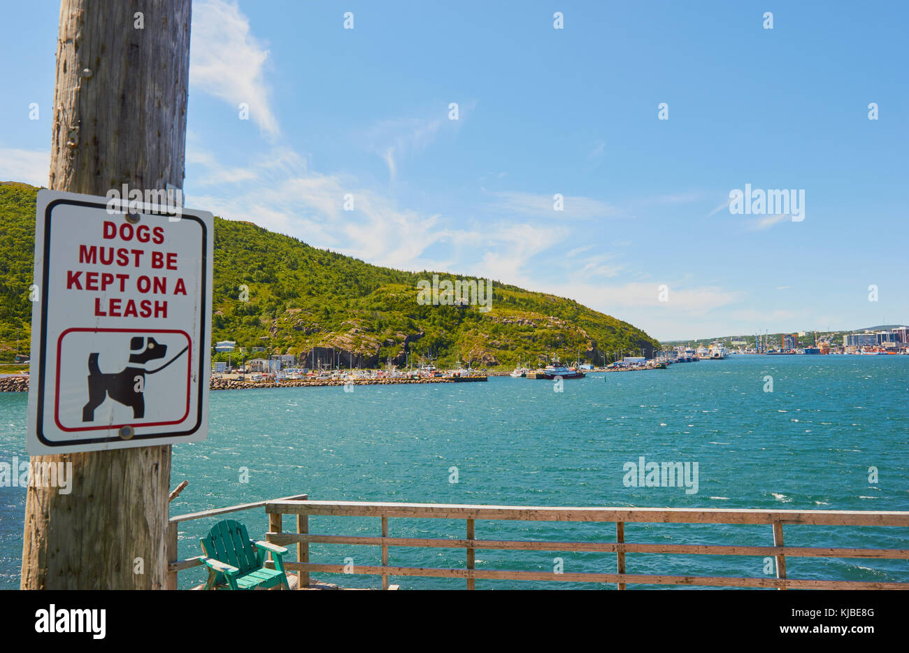 I cani devono essere tenuti al guinzaglio segno, il quartiere della batteria, Signal Hill, San Giovanni, Terranova, Canada Foto Stock