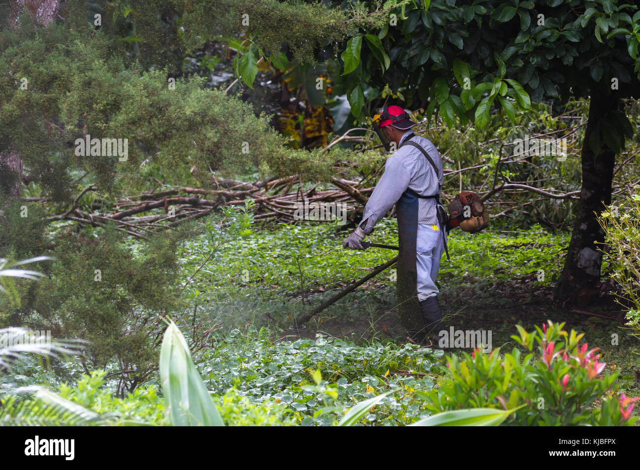 Uomo con un erbaccia whacker Falciare il prato in un grande cantiere in Costa Rica Foto Stock