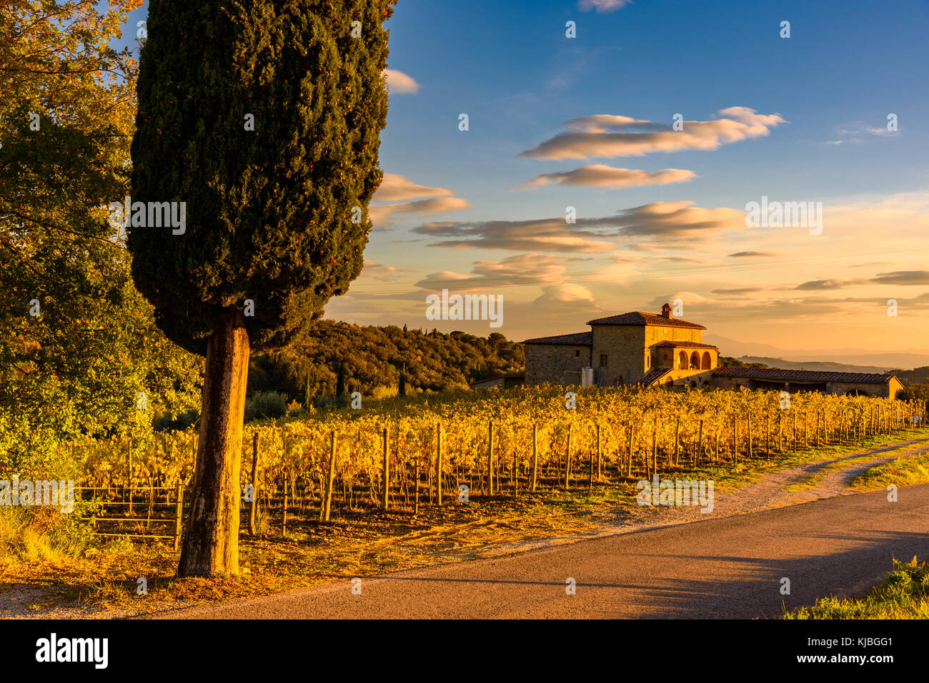 Siena, Italia - 16 novembre 2017: un tipico casale toscano immerso nei vigneti del chianti in autunno. Foto Stock