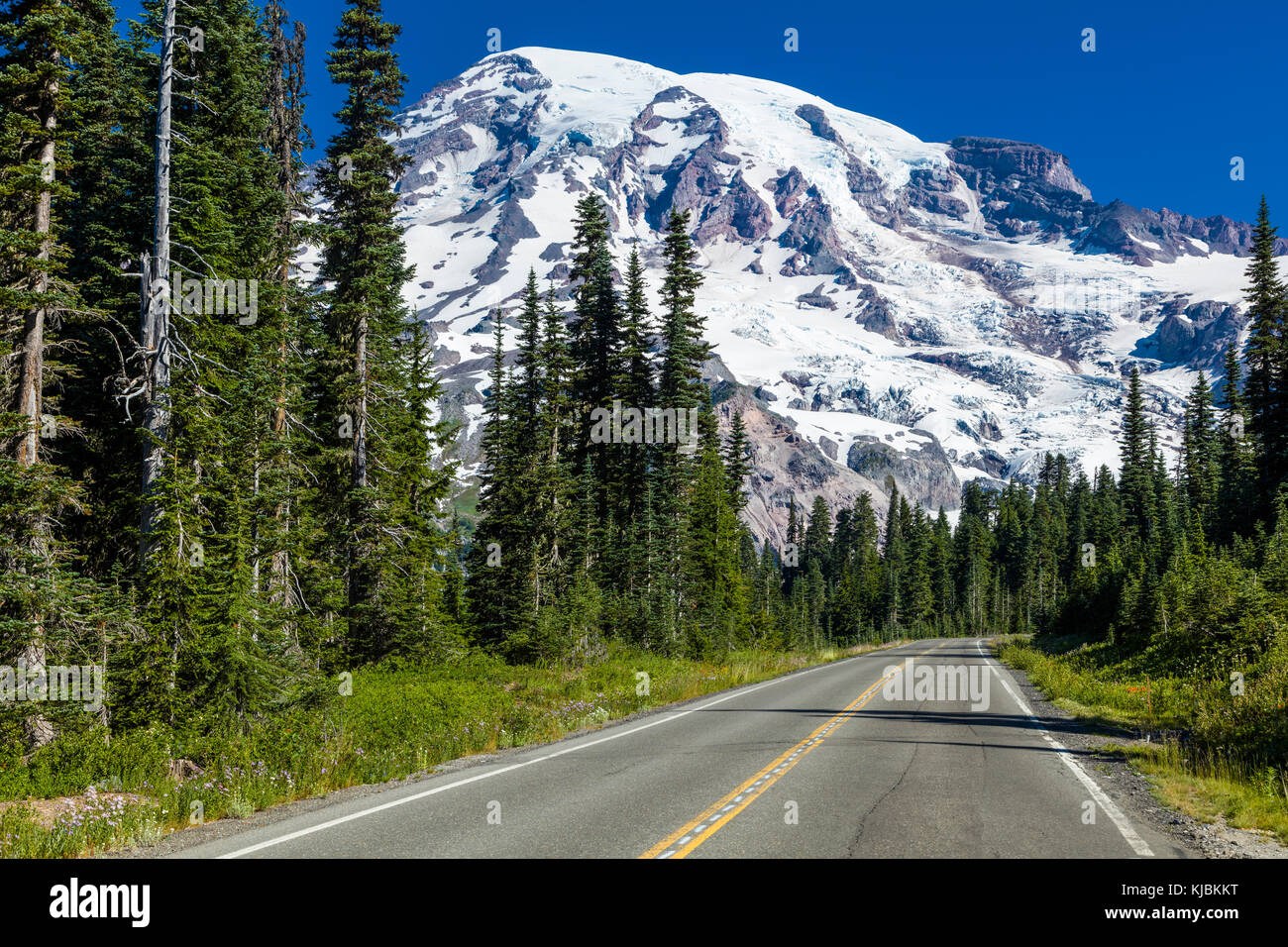 Park road con il Monte Rainier in Mount Rainier National Park nello stato di Washington negli stati uniti Foto Stock