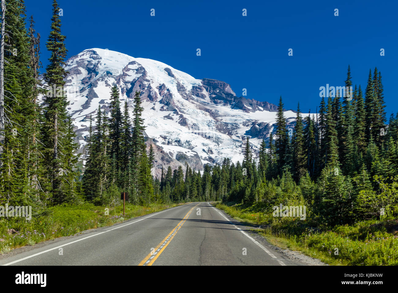 Park road con il Monte Rainier in Mount Rainier National Park nello stato di Washington negli stati uniti Foto Stock