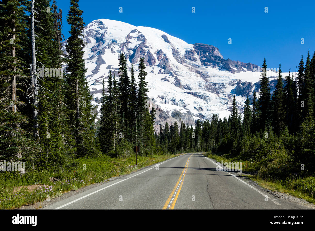 Park road con il Monte Rainier in Mount Rainier National Park nello stato di Washington negli stati uniti Foto Stock