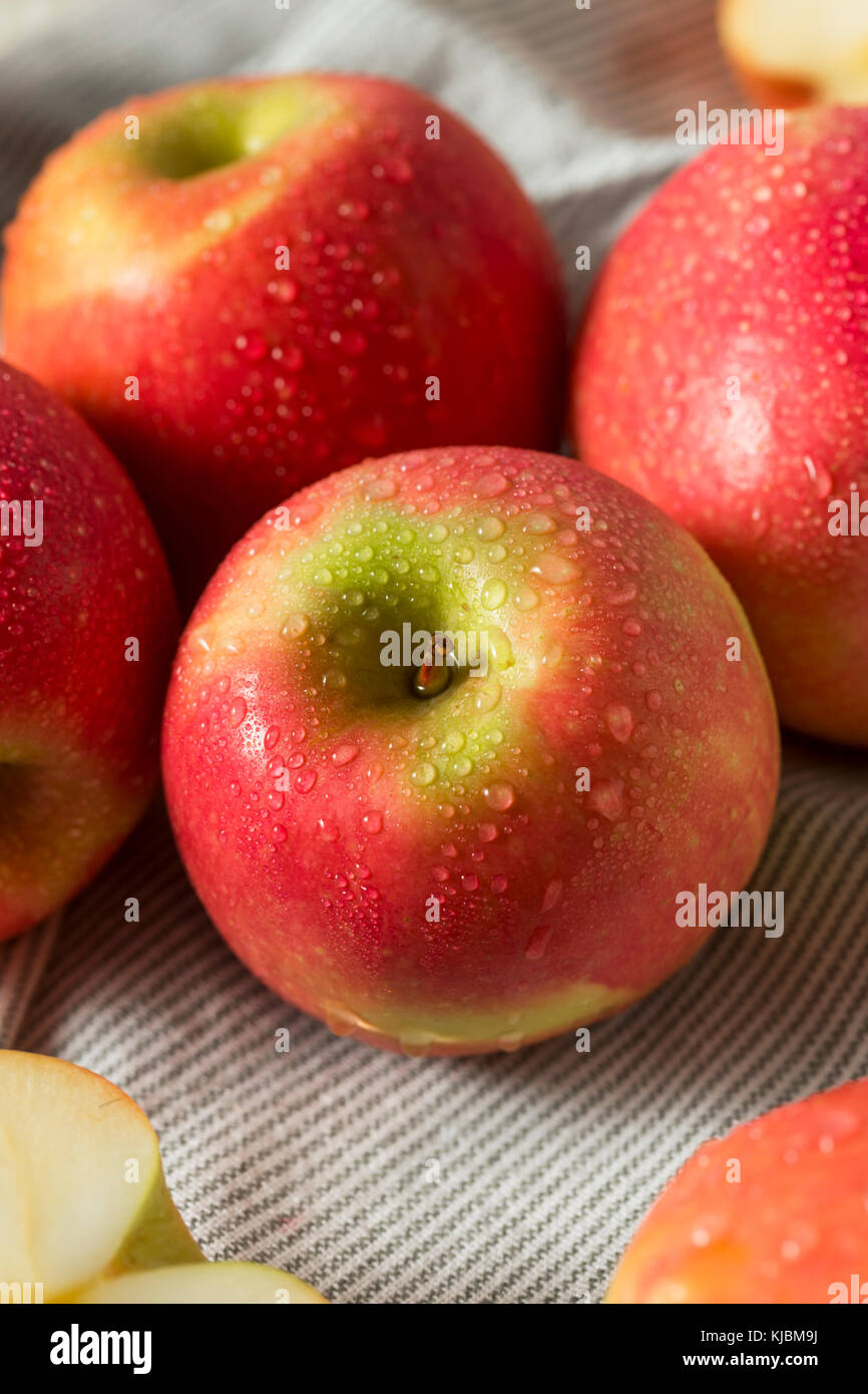 Materie organiche rosso pink lady mele pronto a mangiare Foto Stock