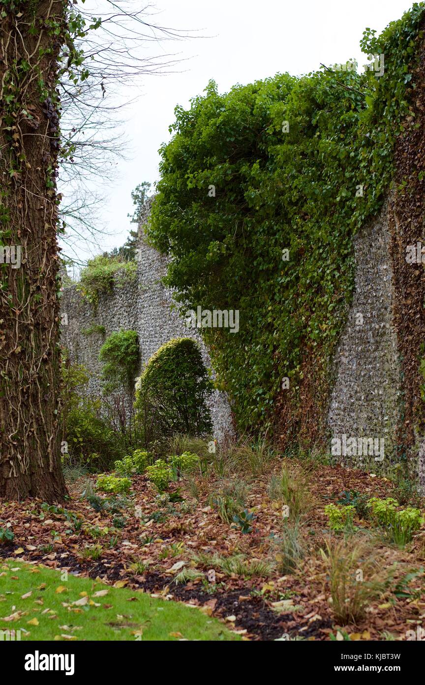 La sezione di Wolvesey Castle parete dal fuori dal fiume itchen, winchester, Regno Unito Foto Stock