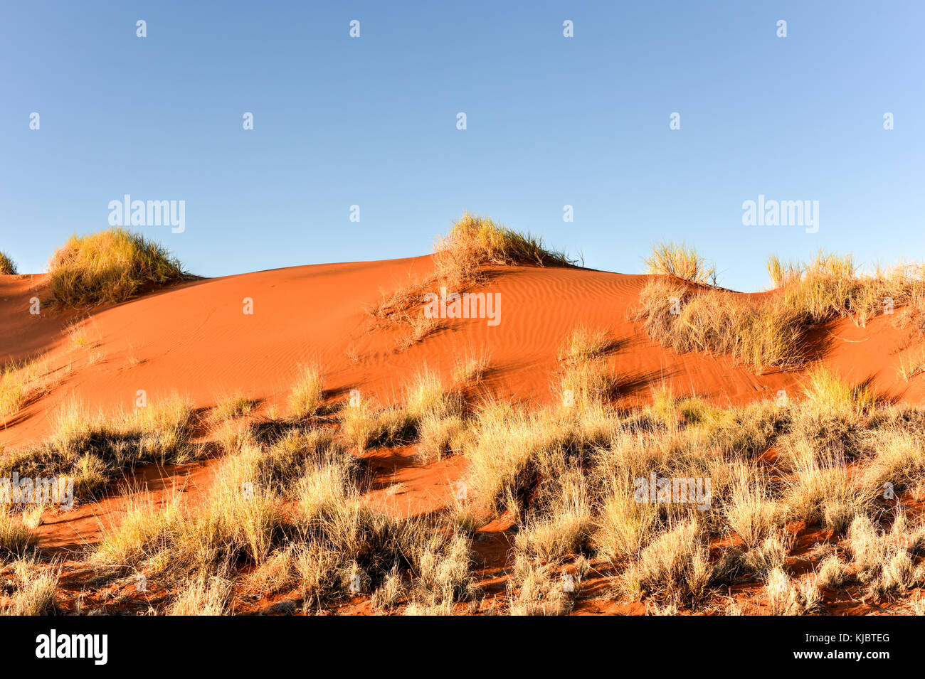 Il paesaggio del deserto in namibrand riserva naturale in Namibia. Foto Stock