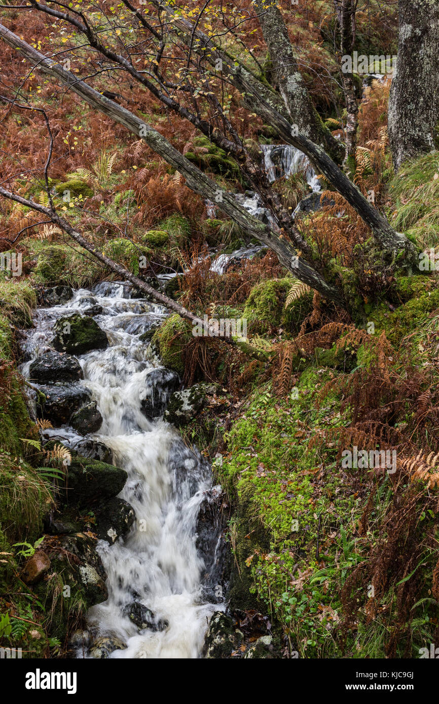 Una cascata sulla West Highland Way al inversnaid accanto a Loch Lomond Foto Stock