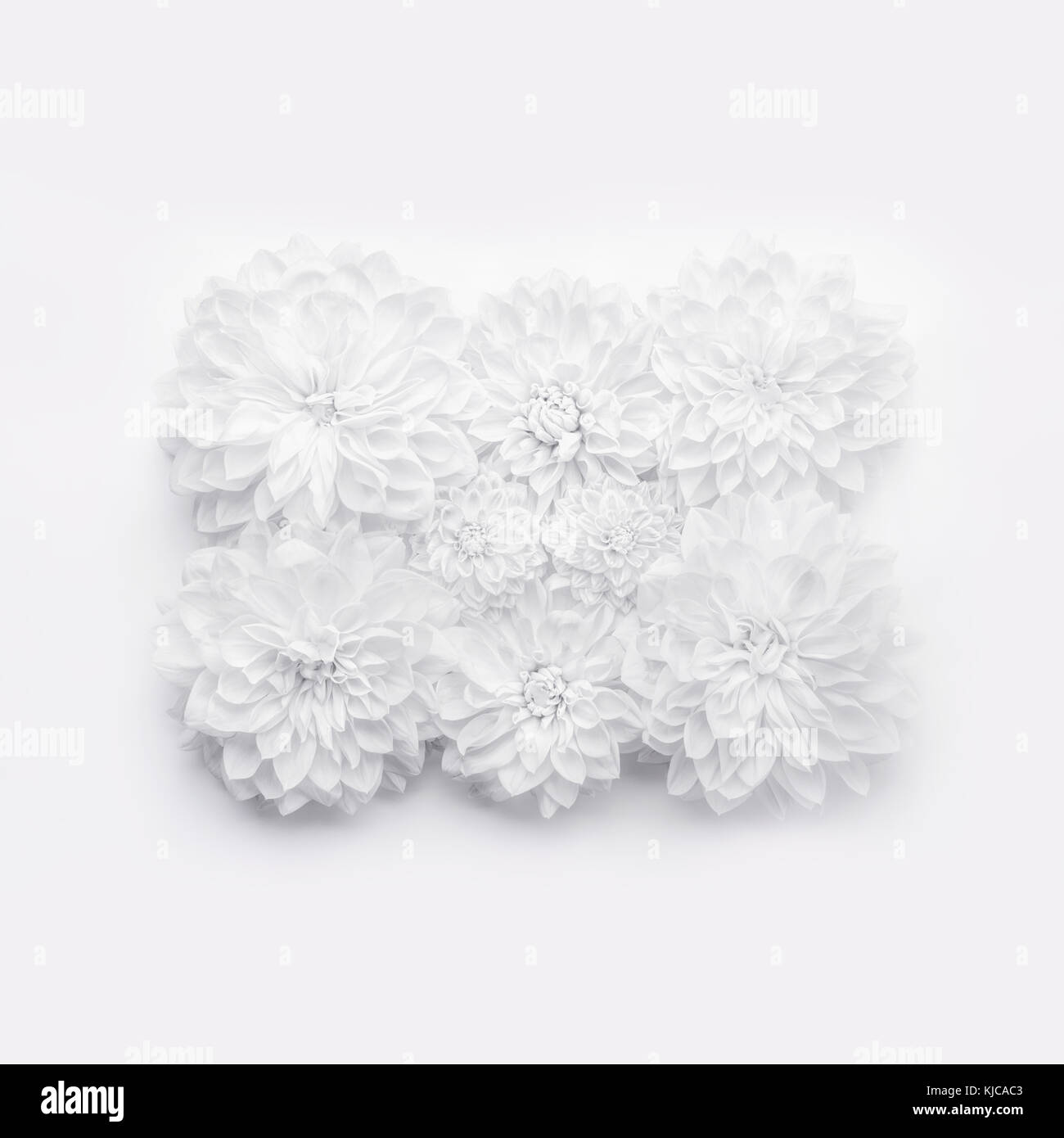 Creative fiori bianchi layout , disegno floreale o lo sfondo per il biglietto di auguri di madri giorno,compleanno, il giorno di san valentino, un matrimonio o un evento felice di flusso Foto