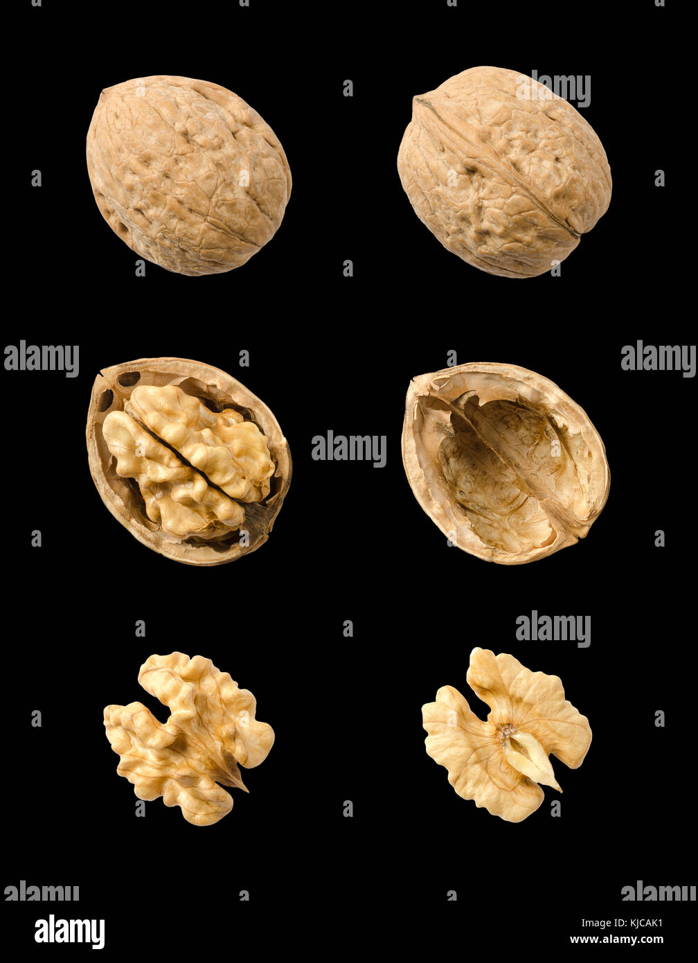 Le noci, intere e aperto su sfondo nero. viste dall'alto di dadi e metà del kernel. semi del comune albero di noce Juglans regia. foto. Foto Stock