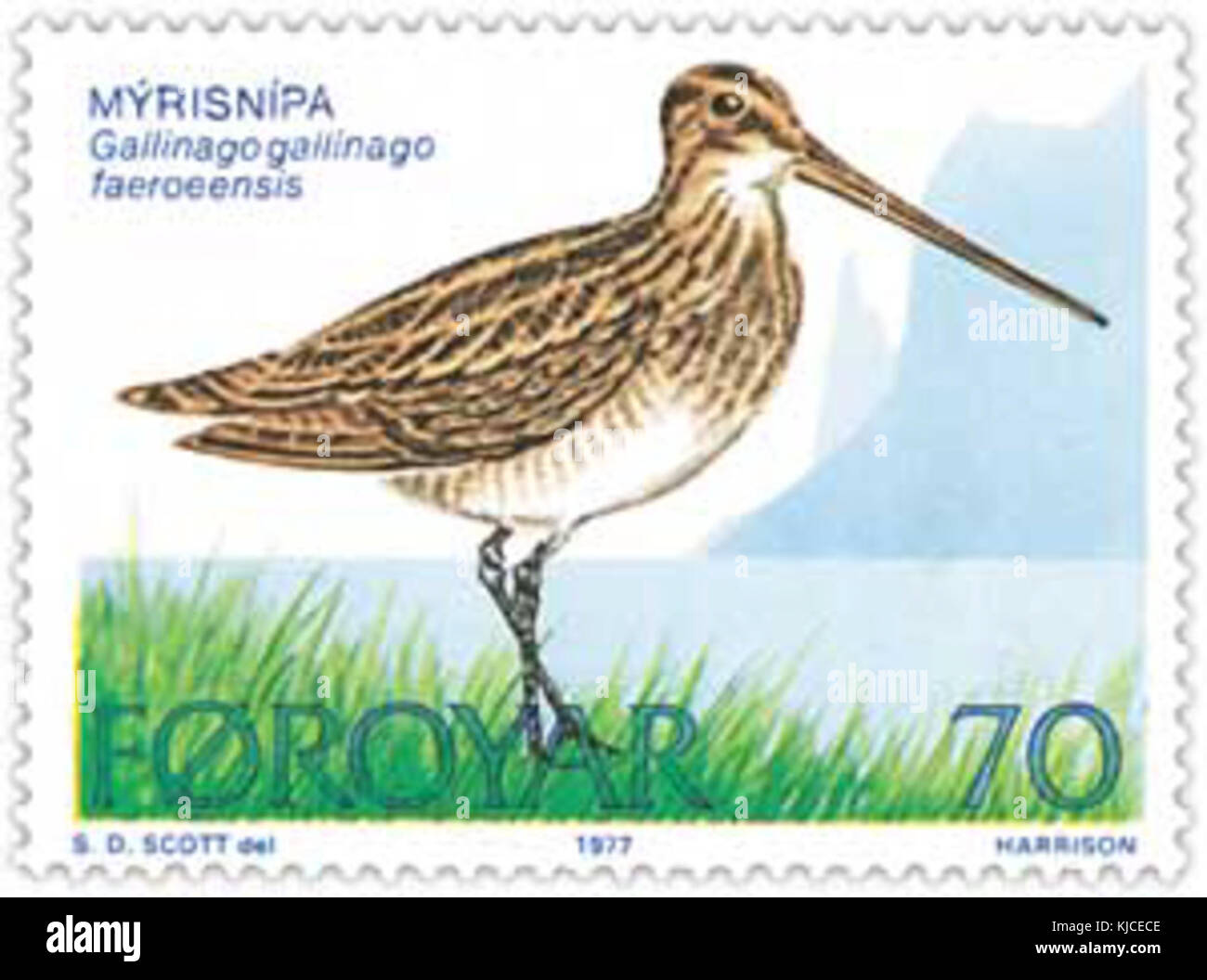 Timbro Faerøer 022 beccaccino Foto Stock