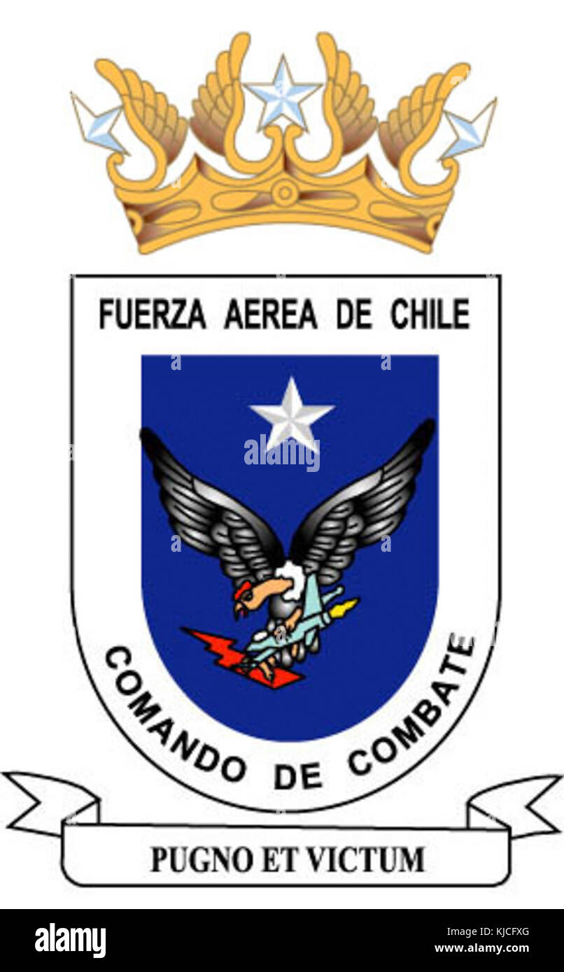 Comando de Combate de FACH Foto Stock