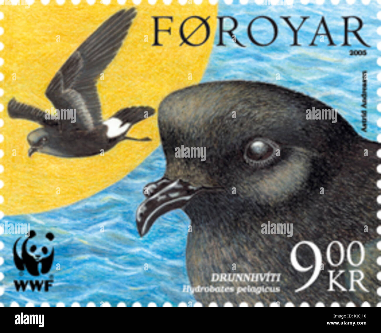 Timbro Faerøer 523 storm petrel Foto Stock