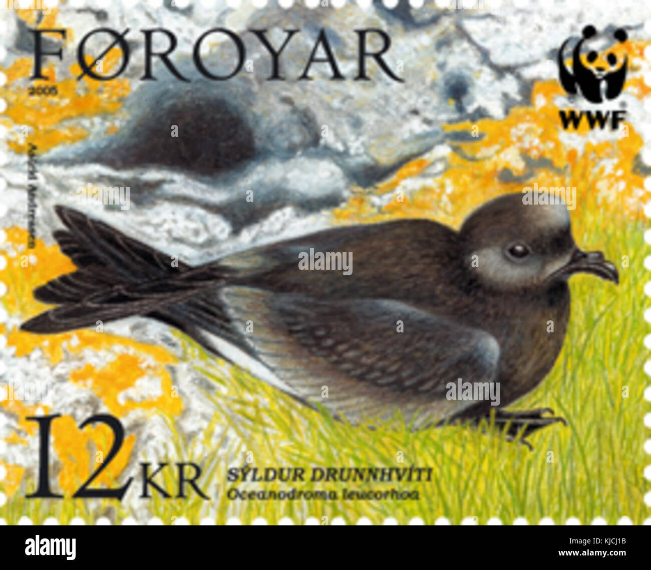 Timbro Faerøer 524 storm petrel Foto Stock