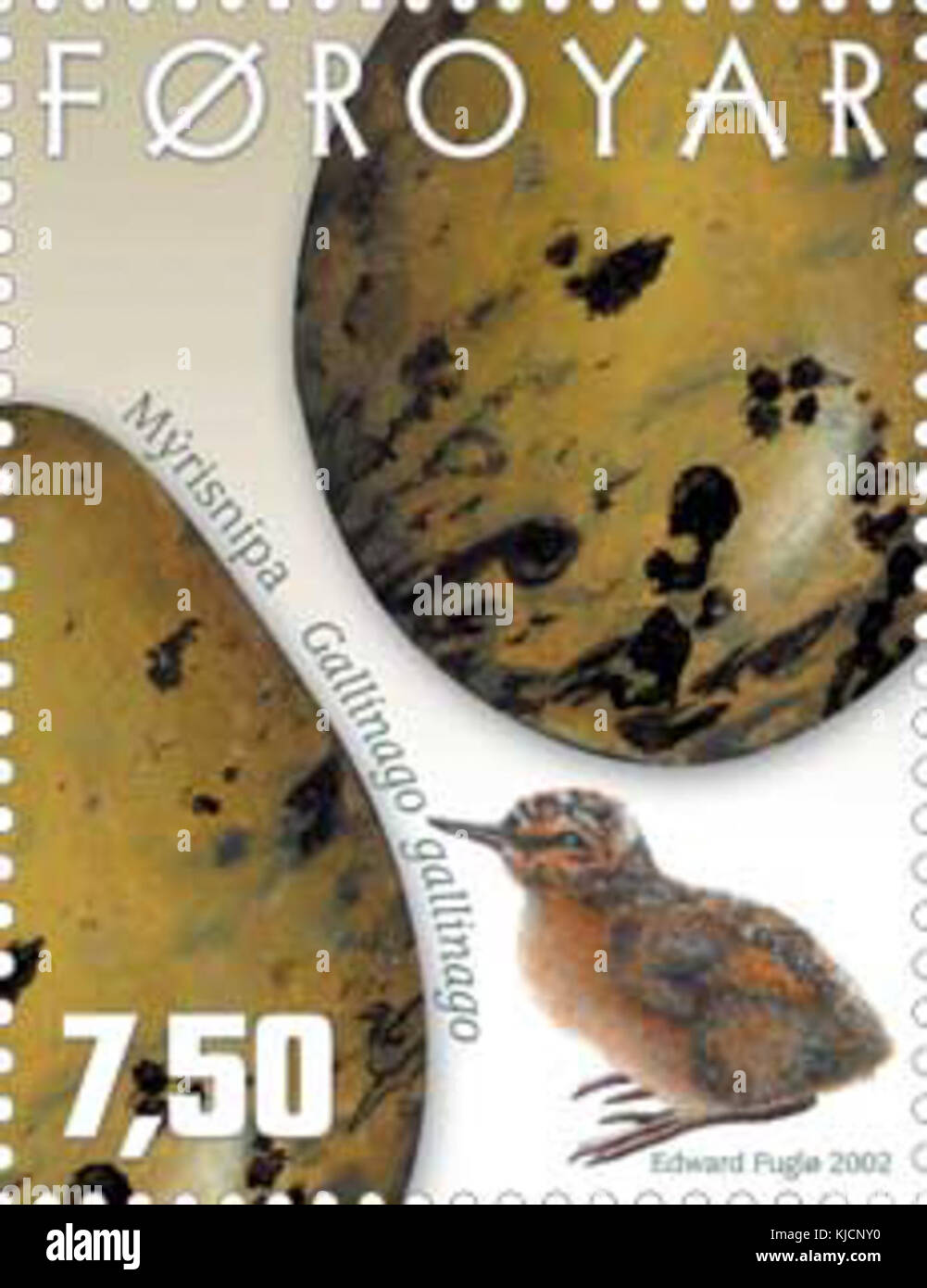 Timbro Faerøer 420 uova di uccelli Gallinago gallinago Foto Stock