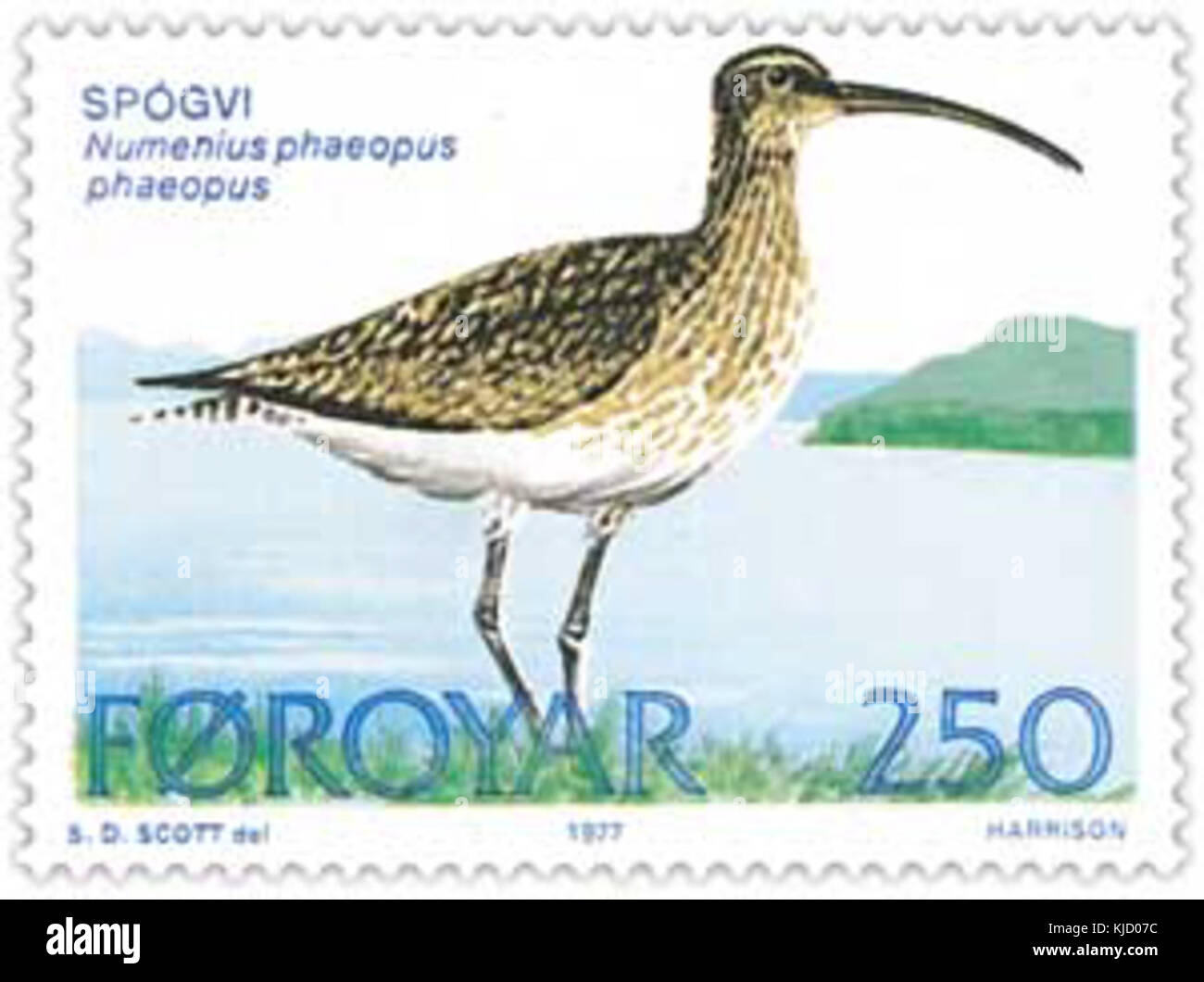 Timbro Faerøer 024 whimbrel Foto Stock