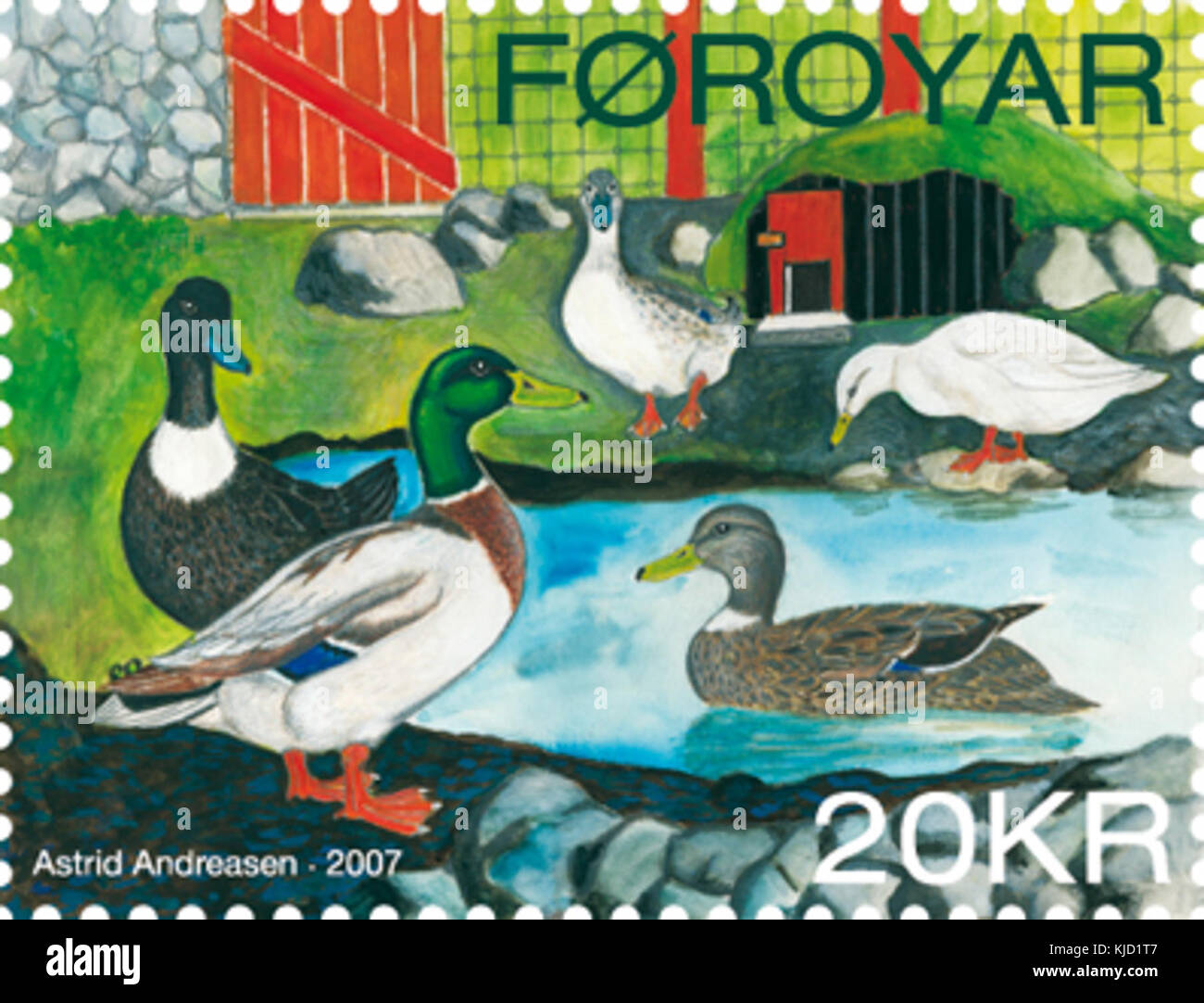 Questo francobollo delle Isole Faroe, contrassegnato nel 605, presenta una raffigurazione di anatre. Rappresenta la ricca fauna selvatica della regione e fa parte di una serie incentrata sulla fauna locale. Foto Stock