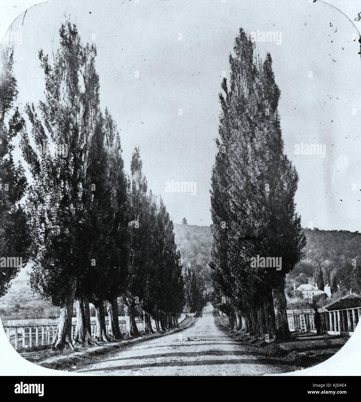 Mile End Road Montreal 1859 Foto Stock