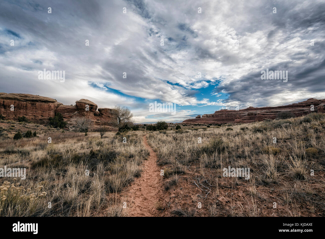 "Nubi sul percorso del deserto, Moab, Utah, Stati Uniti" Foto Stock