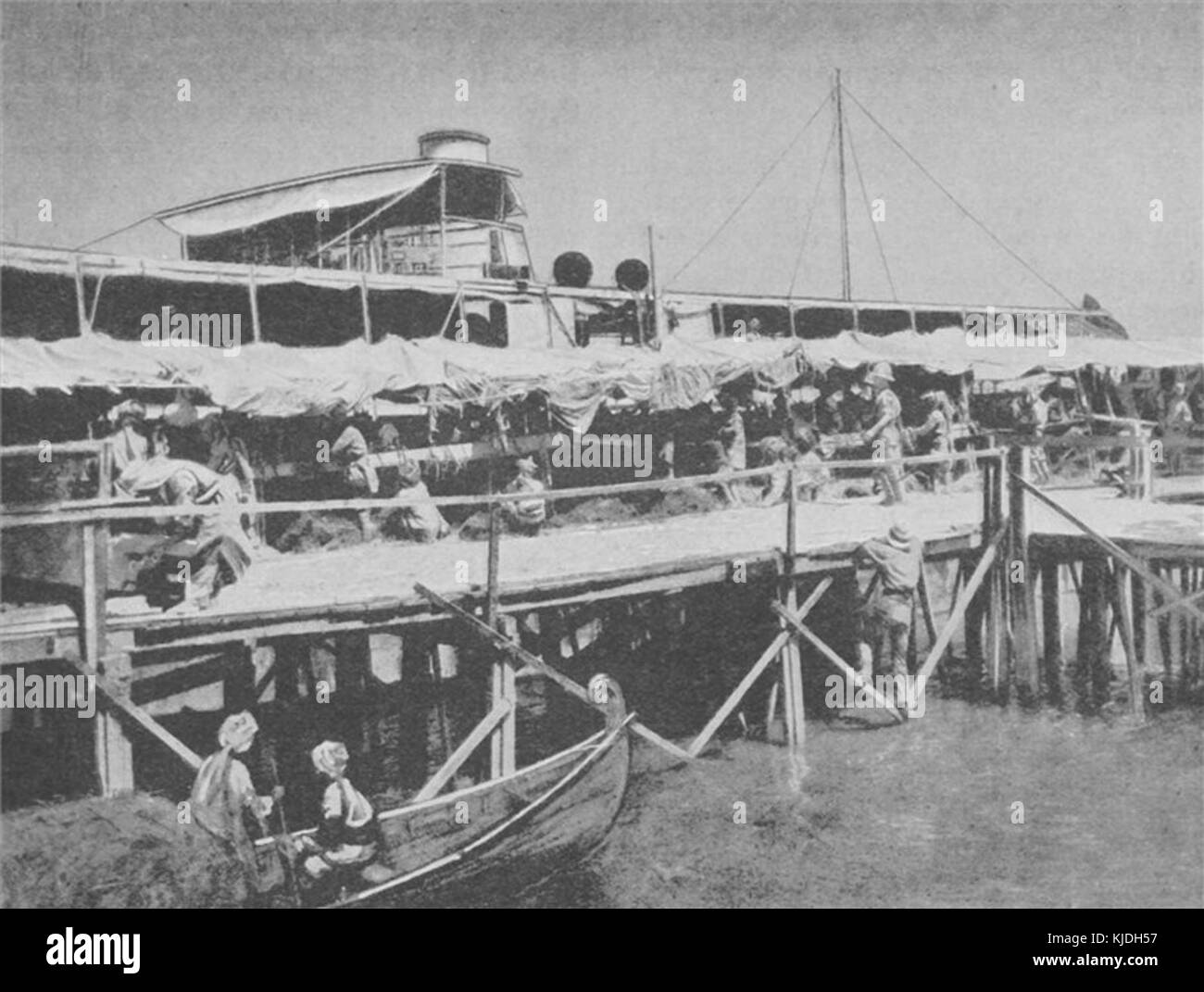 Indiano del trasporto di cavalli per le Tigri forzare la prima guerra mondiale Foto Stock