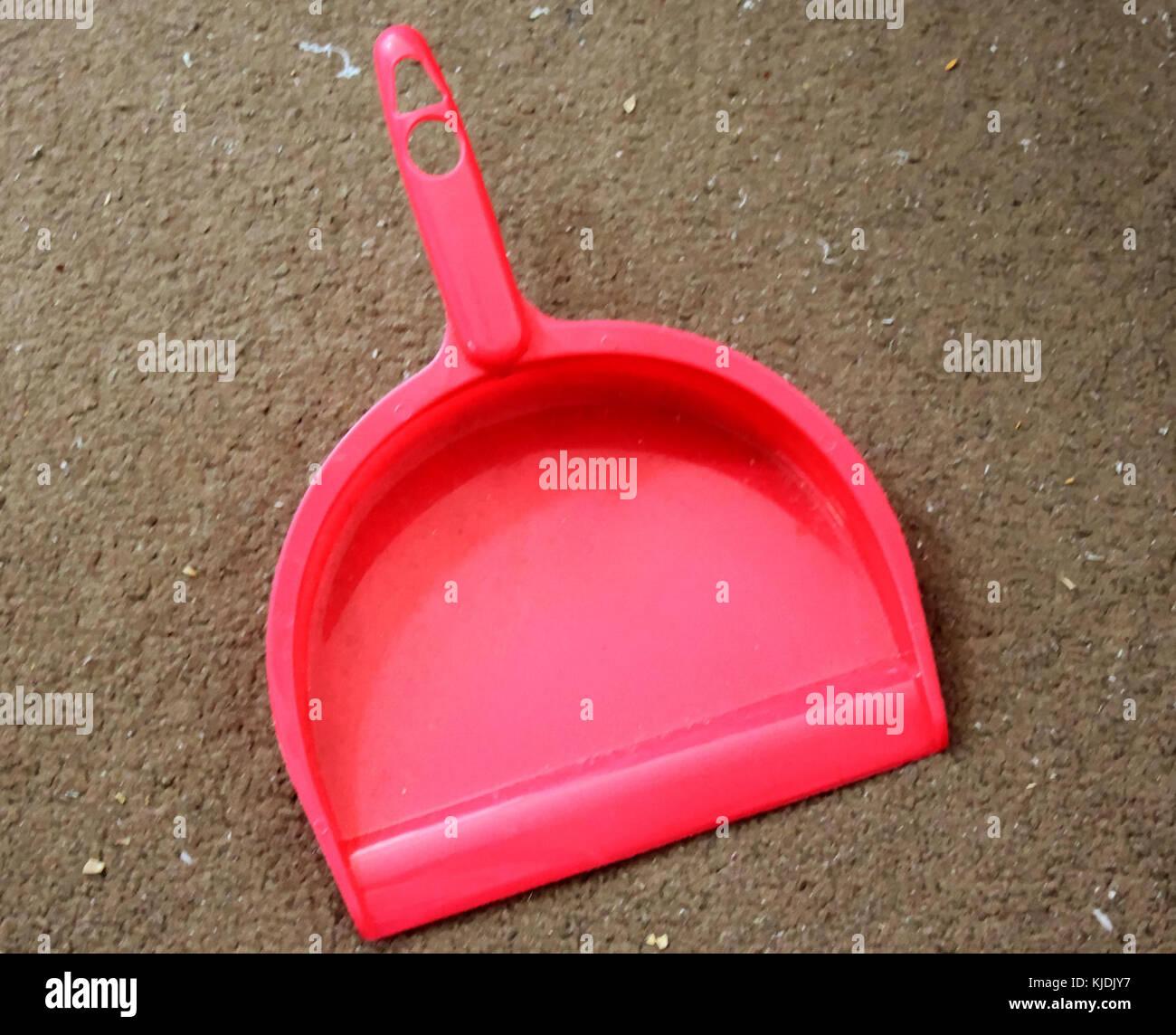 Gfp paletta in plastica Foto Stock