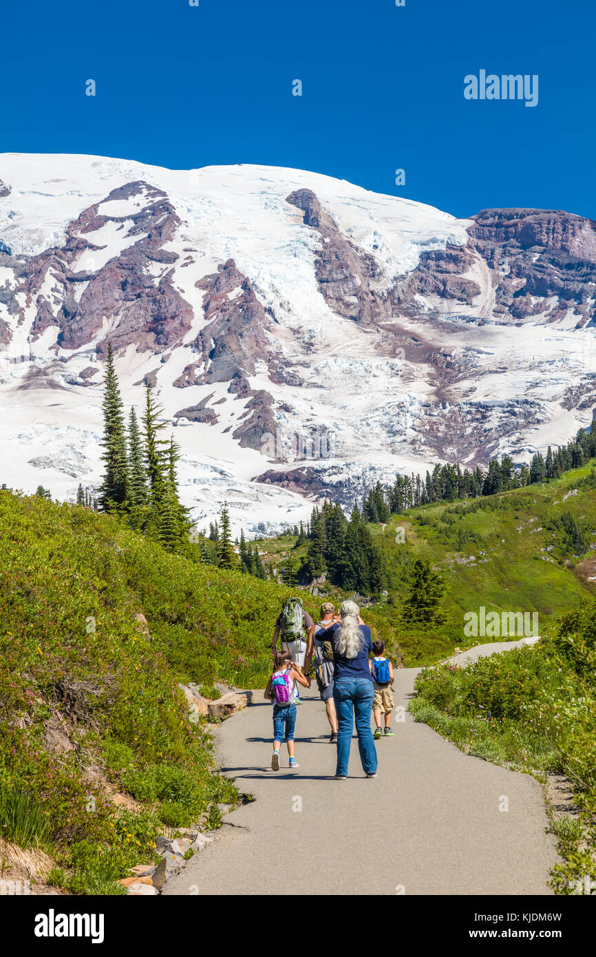 Il mirto cade sentiero a piedi al paradise sezione di Mount Rainier National Park nello stato di Washington negli stati uniti Foto Stock