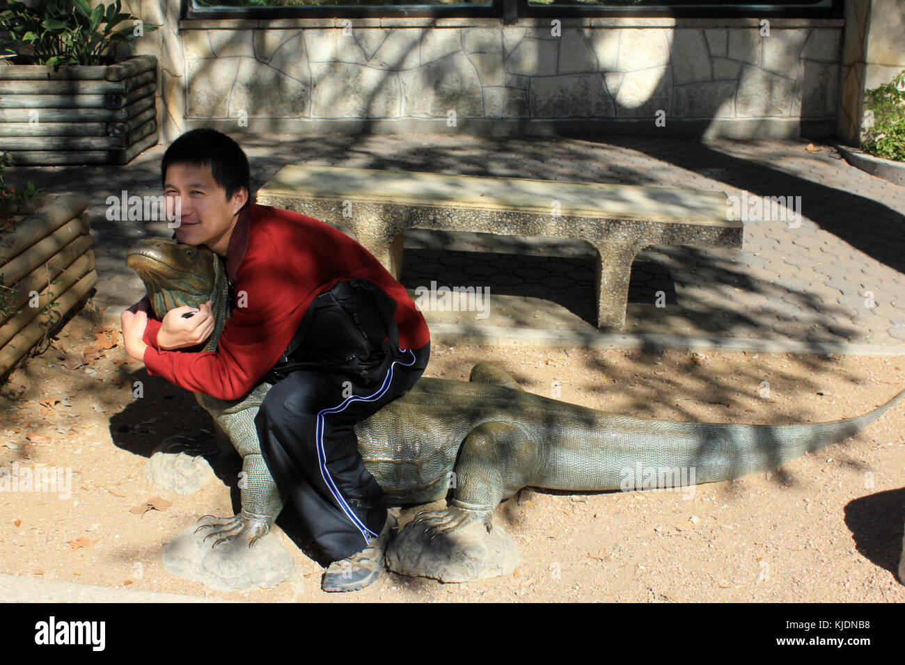 La Gfp texas san antonio di equitazione komodo Foto Stock