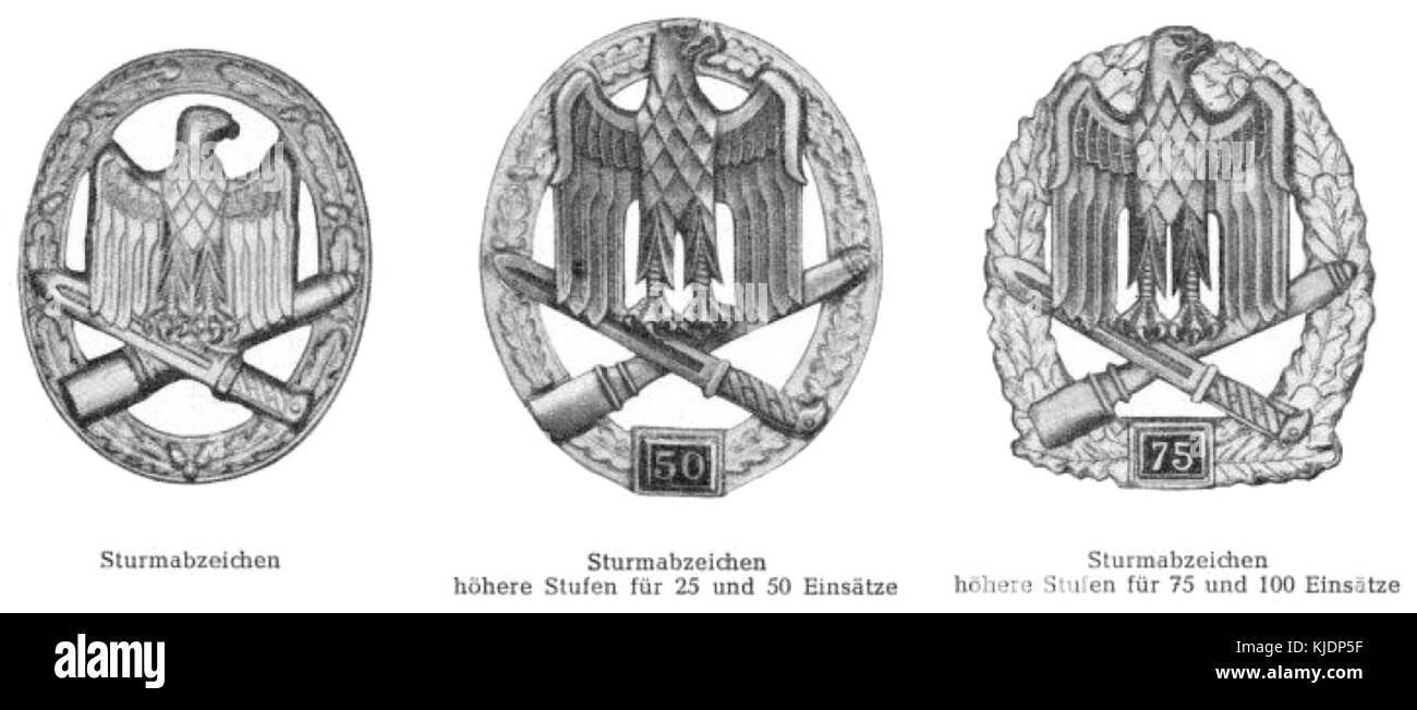 Il distintivo d'assalto generale (Allgemeines Sturmabzeichen) fu assegnato dopo il 1957 ai soldati dell'esercito tedesco che si distinguevano in combattimento. Questo distintivo simboleggia le conquiste valorose e militari nella seconda guerra mondiale e nel dopoguerra. Foto Stock Il distintivo d'assalto generale (Allgemeines Sturmabzeichen) fu assegnato dopo il 1957 ai soldati dell'esercito tedesco che si distinguevano in combattimento. Questo distintivo simboleggia le conquiste valorose e militari nella seconda guerra mondiale e nel dopoguerra. Foto Stock