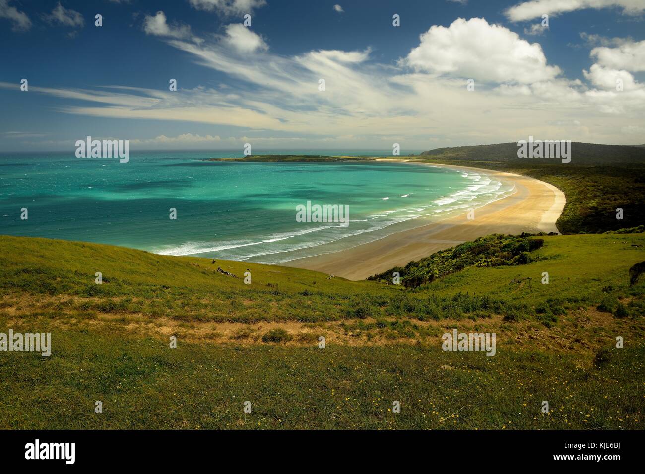 Il paesaggio della Nuova Zelanda - baia a sud dell isola meridionale (catlins) Foto Stock